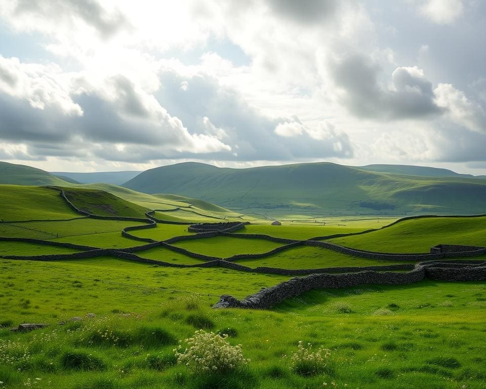 Ontdek de groene heuvels van Noord-Ierland
