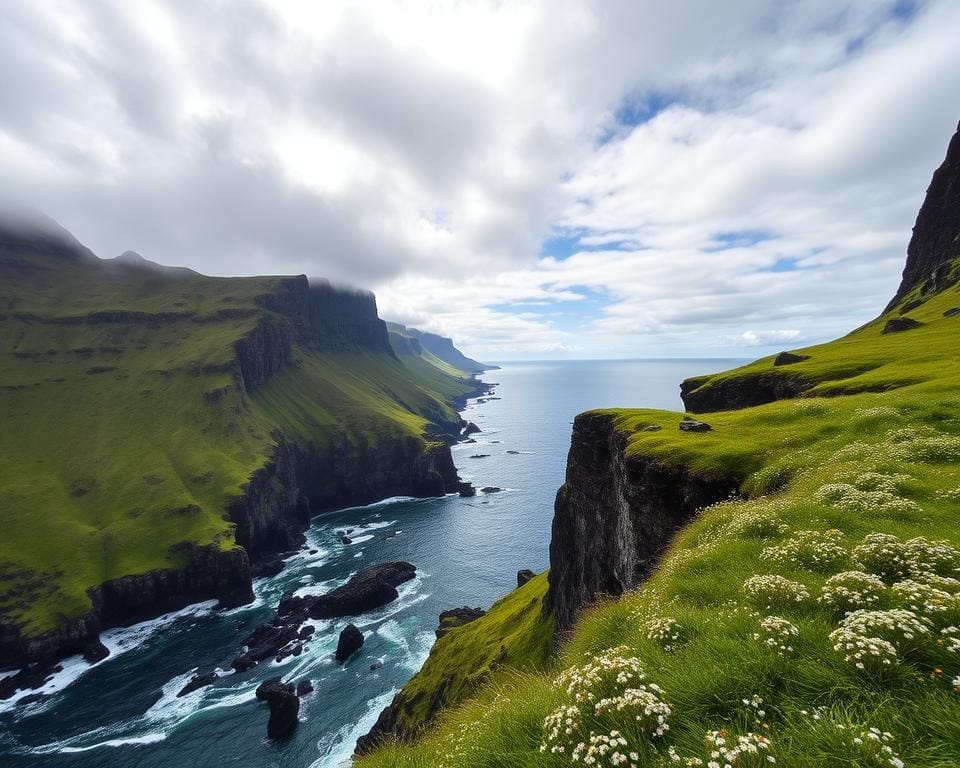 bewonder de kliffen van de Westfjorden