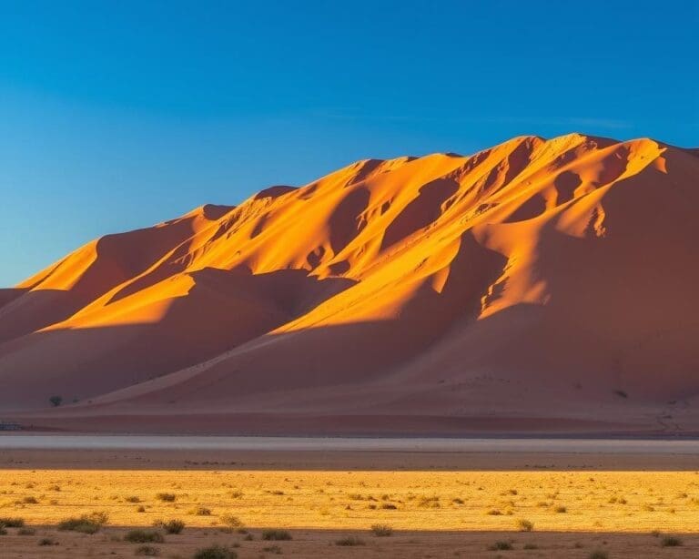 Ontdek de zandduinen van de Namib-woestijn