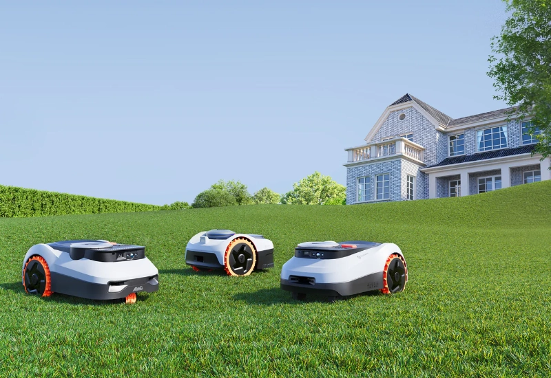 Hoe je gazon elk seizoen in topvorm houdt